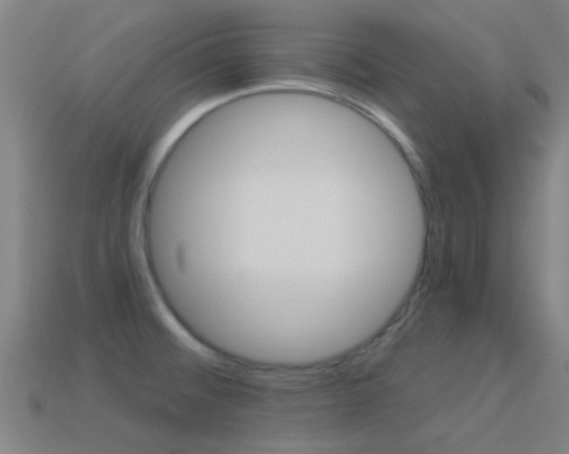 X0000114521476200910190939