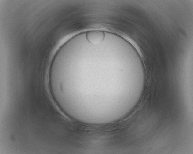 X0000114521477200910190939