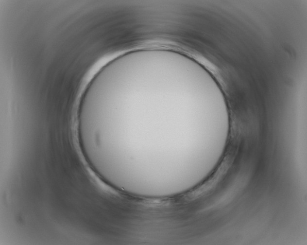 X0000114521478200910190939