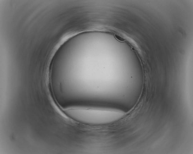 X0000114521479200910190939