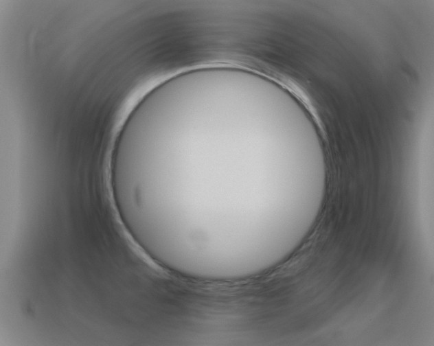X0000114521480200910190939