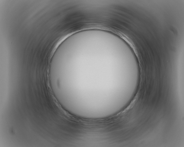 X0000114521481200910190939
