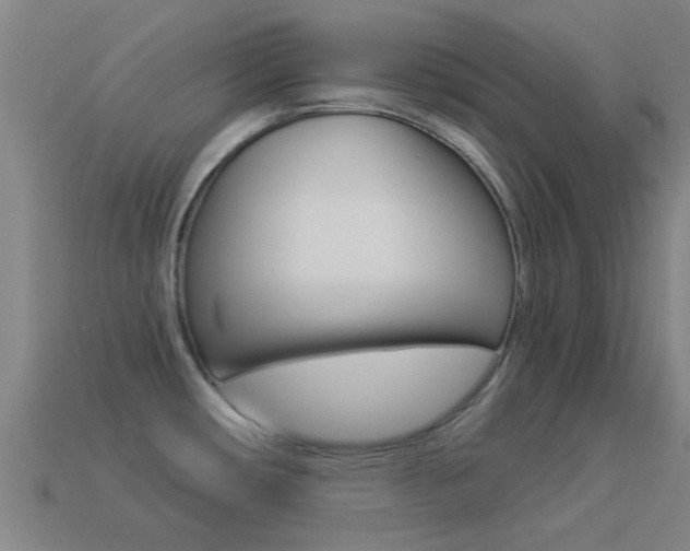 X0000114521482200910190939