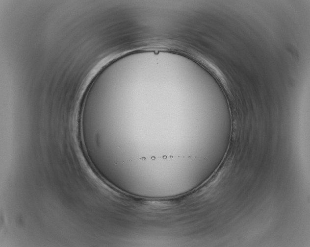 X0000114521483200910190939
