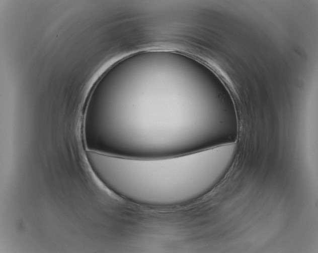 X0000114521484200910190939