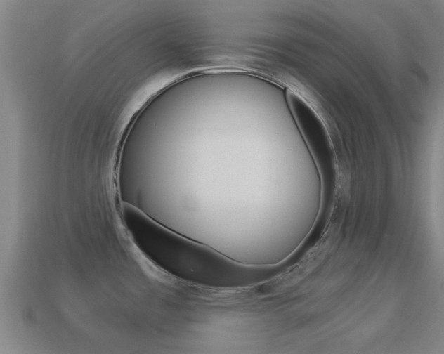 X0000114521485200910190939