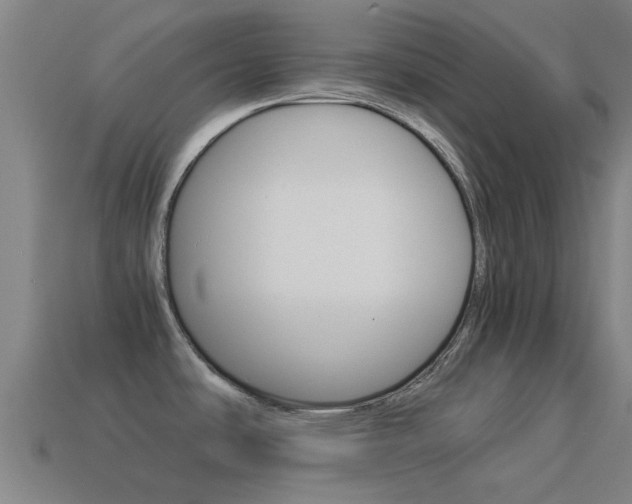 X0000114521486200910190939