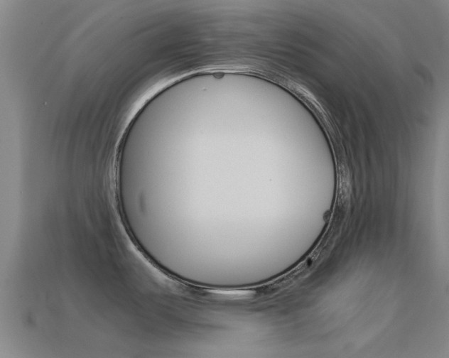 X0000114521487200910190939