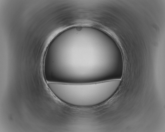 X0000114521488200910190939