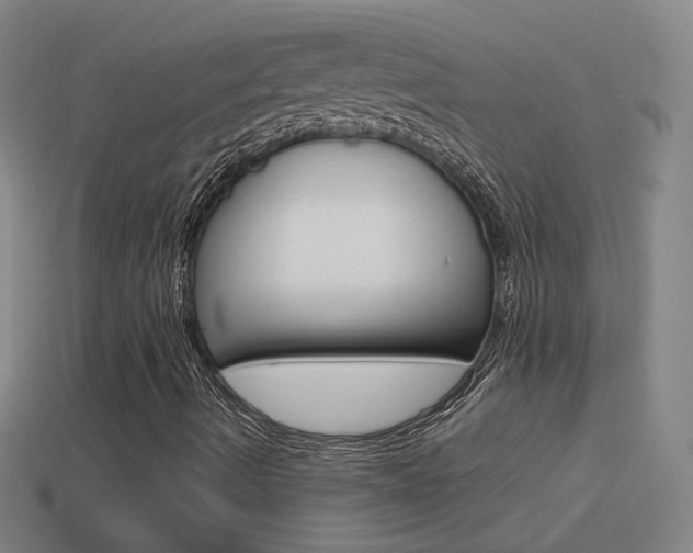 X0000114521490200910190938