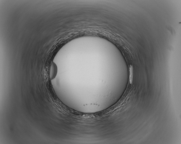 X0000114521491200910190938