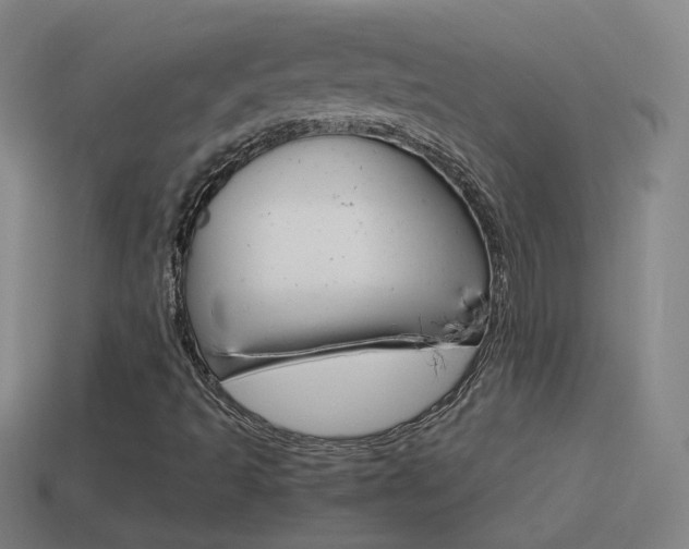 X0000114521493200910190938