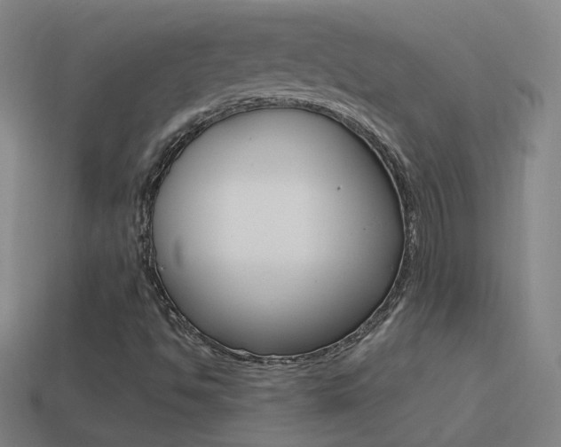 X0000114521494200910190938