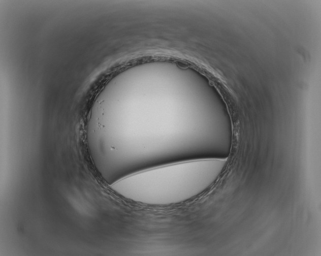 X0000114521495200910190938