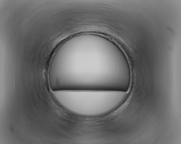 X0000114521497200910190938