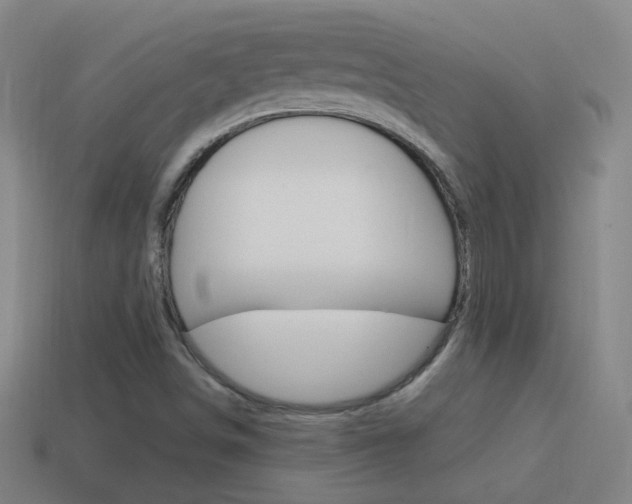 X0000114521498200910190938