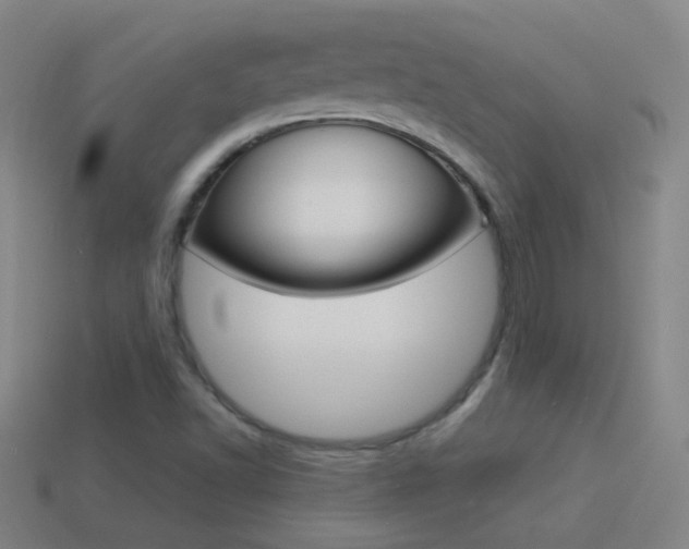 X0000114521502200910190938