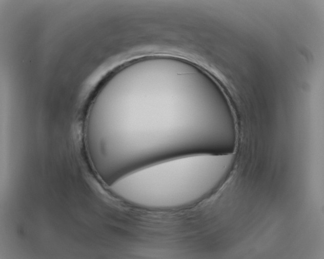 X0000114521503200910190938