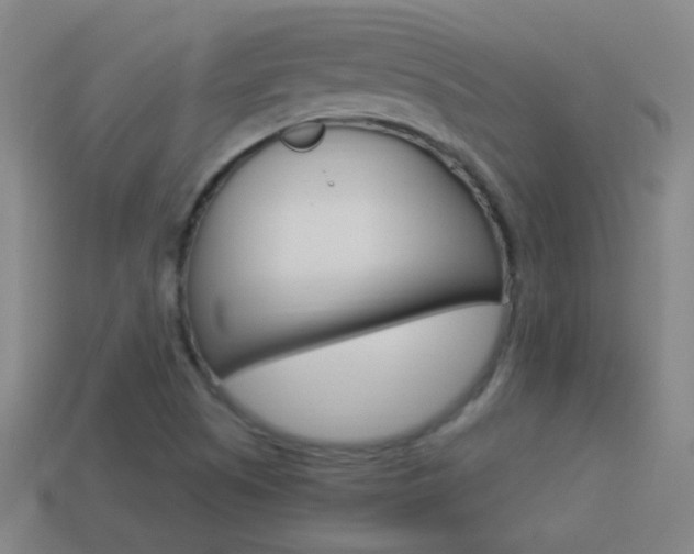 X0000114521505200910190938