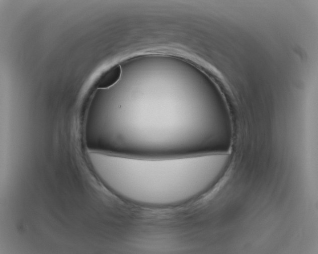X0000114521506200910190938
