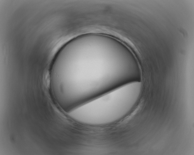 X0000114521509200910190938