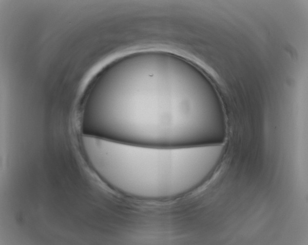 X0000114521510200910190938
