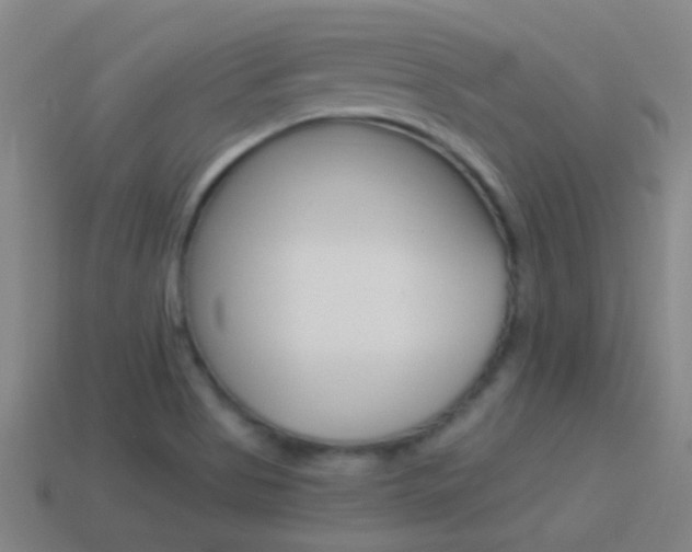 X0000114521513200910190939