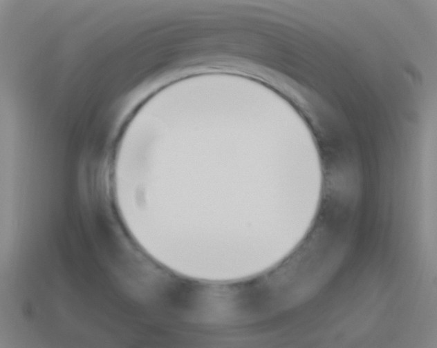 X0000114521514200910190939