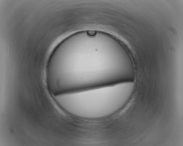 X0000114521517200910190939
