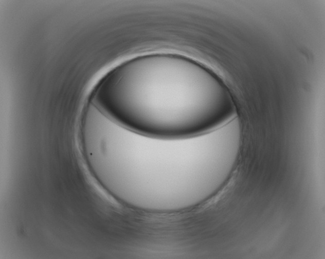 X0000114521518200910190939