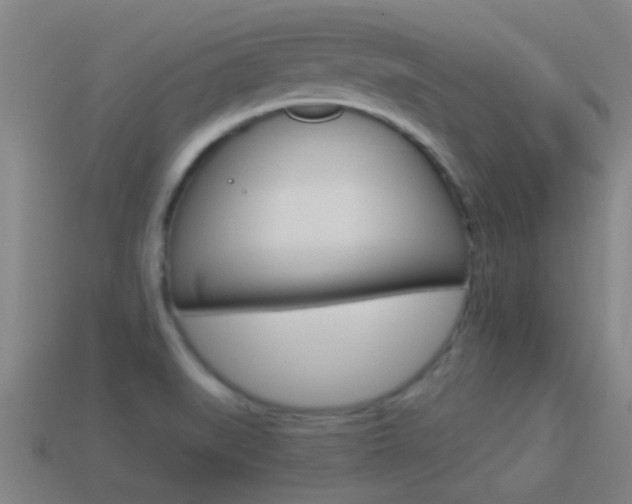 X0000114521519200910190939