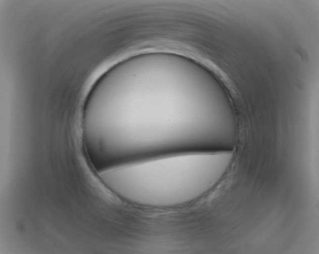 X0000114521522200910190939