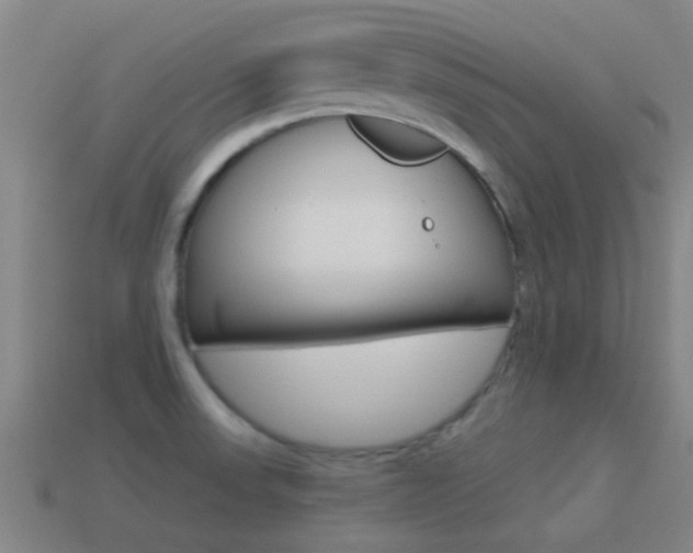 X0000114521523200910190939
