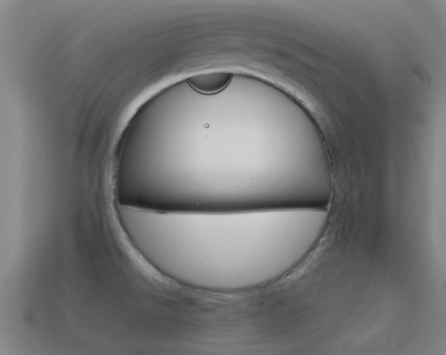X0000114521526200910190939