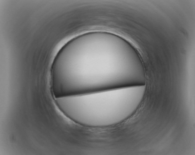 X0000114521527200910190939