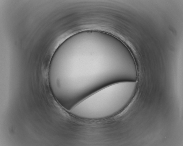 X0000114521529200910190939