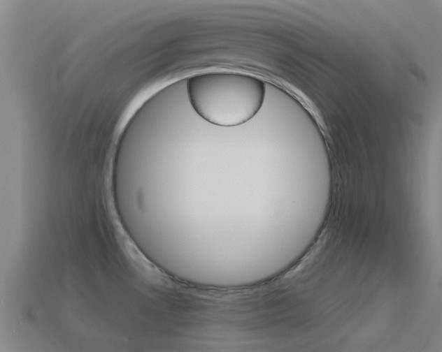 X0000114521530200910190939
