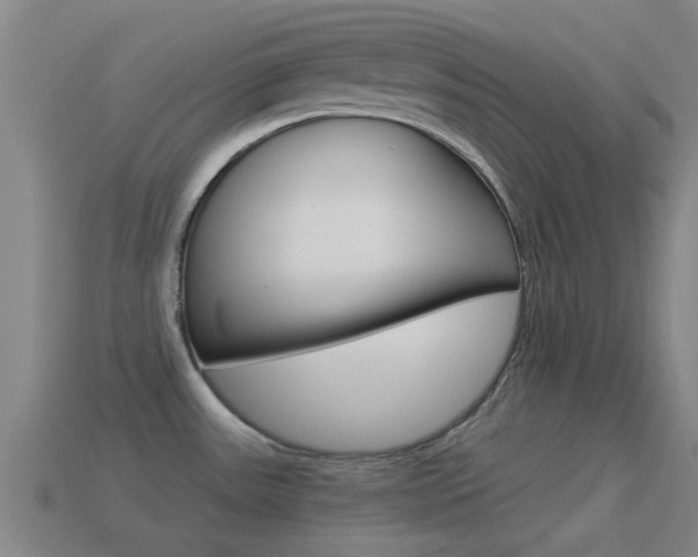 X0000114521531200910190939