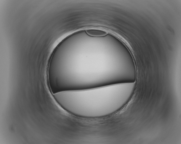 X0000114521533200910190939