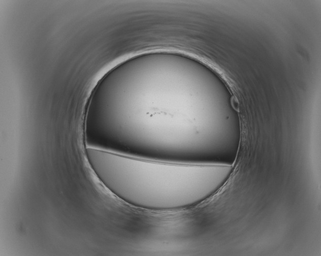 X0000114521534200910190939