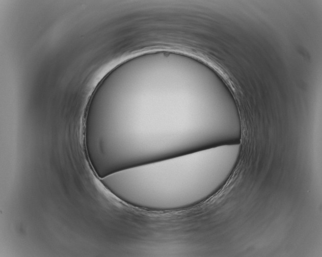 X0000114521535200910190939