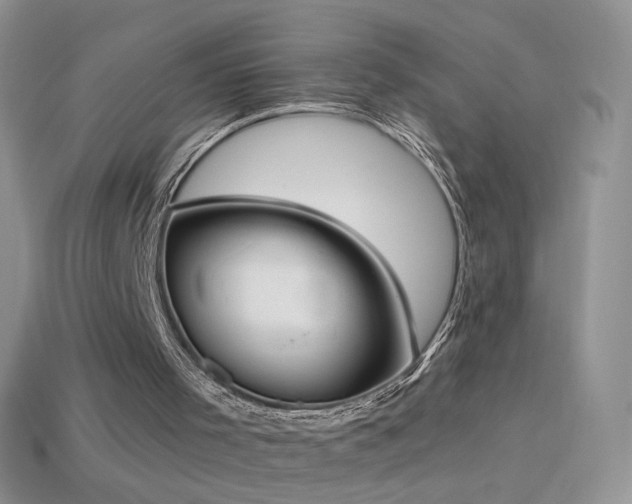 X0000114520001200910191204