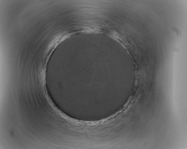 X0000114520002200910191204