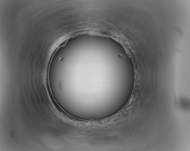 X0000114520003200910191204