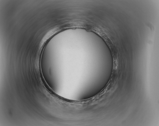 X0000114520004200910191204