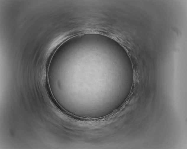 X0000114520005200910191204