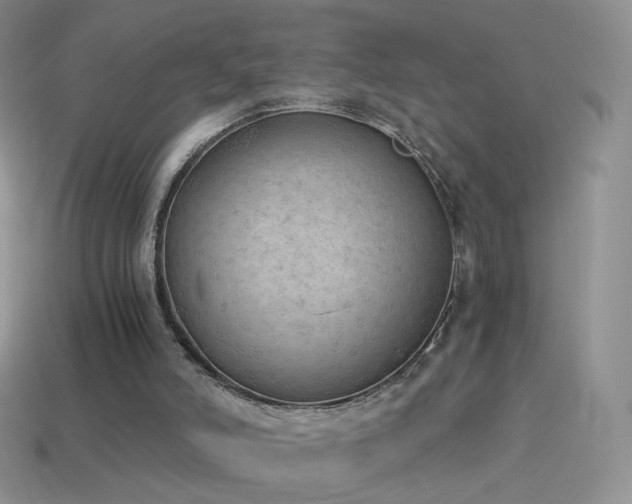 X0000114520006200910191204