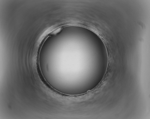 X0000114520007200910191204