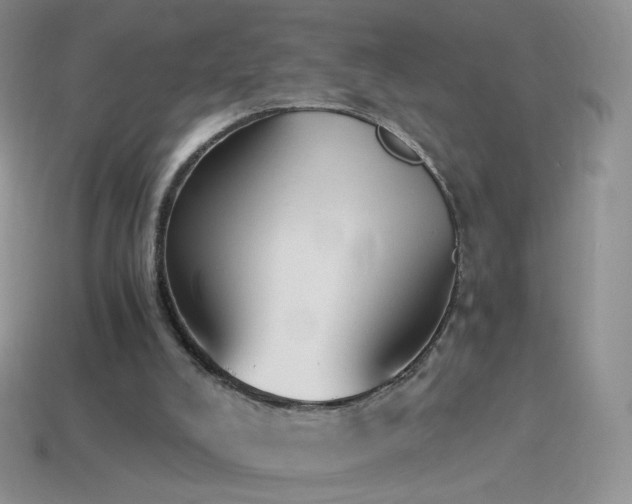 X0000114520008200910191204