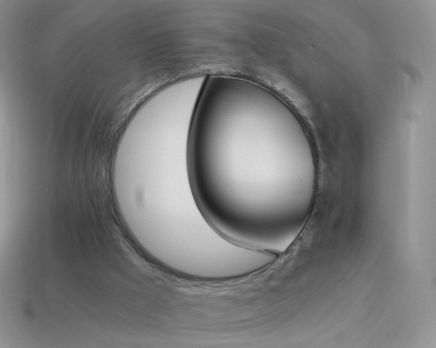 X0000114520009200910191204